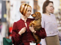 11.05.2026 Russia. Moscow. SDS. Judge - Temirova Madina. Formula Uspeha Vihr' (ms) - Club CAC, BOS