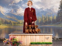 11.05.2026 Russia. Moscow. SDS. Judge - Temirova Madina. Formula Uspeha Bliss (ms) - Club VCAC, VBOB, BOB, 1-Best in Show Veteran, Res.Best in Show adult & Formula Uspeha Vihr' (ms) - Club CAC, BOS & Formula Uspeha Vselennaya & Formula Uspeha Chezet