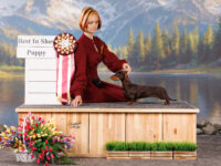 11.05.2026 Russia. Moscow. SDS. Judge - Temirova Madina. Formula Uspeha Felix Felicis (ks) - 1-Best in Show Puppy