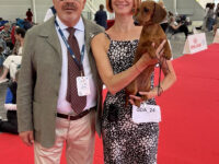 04.06.2026. Italy. Bologna. IDS. ENCI WINNER & ACL WINNER. Judge - BAUCHAL GIANFRANCO (ITA) (M/S), MONTEFUSCO CLAUDIO (ITA) (K/S).Formula Uspeha Ogon' (ms) - J CAC, JCACIB, JBOS, J ENCI & LATIN WINNER