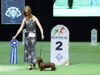 04.06.2026. Italy. Bologna. IDS. ENCI WINNER & ACL WINNER. Judge - BAUCHAL GIANFRANCO (ITA) (M/S), MONTEFUSCO CLAUDIO (ITA) (K/S).Formula Uspeha Vihr' & Formula Uspeha Vselennaya - 2-Best Couple Formula Uspeha Ogon' (ms) - J CAC, JCACIB, JBOS, J ENCI & LATIN WINNER