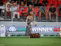 04.06.2026. Italy. Bologna. IDS. ENCI WINNER & ACL WINNER. Judge - BAUCHAL GIANFRANCO (ITA) (M/S), MONTEFUSCO CLAUDIO (ITA) (K/S). Formula Uspeha Kennel