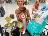 08.08.2026. Russia. Moscow. NDS. Judge - Olkova. Formula Uspeha Stikhiya (ks) - JCAC, JBOB, BOB, 1-Best in Group, 3-Best in Show