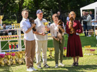 15.08.2026 Russia. Moscow. SDS “RGK”. Judge – Oleg Yanchev. Formula Uspeha Lorelea (ks) – J Club CAC, JBOB, BOB, 1-Best in Show Junior, 1-Best in Show Adult & Formula Uspeha Gardenia (ms) - Club CAC, BOB, 3 -Best in Show