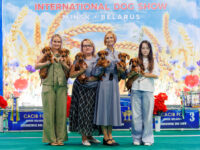 30.08.2026 Belarus, Minsk. IDS.Judge - Malo Alcrudo Rafael (breed, BIG), Konrad Tijana (Best Couple), Belcevic Dusan (Best Kennel), Pozniakova Galina (Best Progeny). Kennel Formula Uspeha
