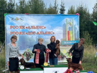 12.09.2026 Russia. Zelenograd. NDS.Judge - Larisa Polegayko. Formula Uspeha Gardenia (ms) - CAC, CH RKF, BOB, 1-Best in Group