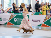 21.06.2026. Russia. Moscow. NDS “Russia. RKF CUP 2026”. Judge – Ekaterina Krylova (breed, BIG). Formula Uspeha Vselennaya (ms) – R.CAC, CC