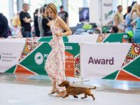 21.06.2026. Russia. Moscow. NDS “Russia. RKF CUP 2026”. Judge – Ekaterina Krylova (breed, BIG).Formula Uspeha Groza (ms) - CAC, Club CAC, Best Working dog