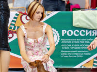21.06.2026. Russia. Moscow. NDS “Russia. RKF CUP 2026”. Judge – Ekaterina Krylova (breed, BIG). Formula Uspeha Ogon’ (ms) - JCAC, Club J CAC, J CH RKF, Moscow Junior Winner, JBOB