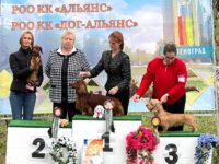 12.09.2026 Russia. Zelenograd. NDS.Judge - Irina Trifonova. Formula Uspeha Gardenia (ms) - CAC, BOB, 3-Best in Group