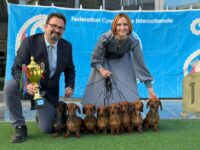 21.03.2026. Azerbaijan. Baku. IDS. Judge - Zaur Agabeli. Formula Uspeha Kennel