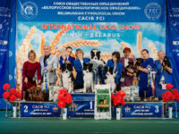 29.08.2026 Belarus, Minsk. IDS.Judge - Konrad Tijana (breed, BIG), Malo Alcrudo Rafael (Best Couple), Mukeev Esengeldy (Best Kennel), Belcevic Dusan (Best Progeny), Mladenovic Mica (BISJ). Formula Uspeha - 2 Best Kennel