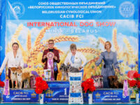 30.08.2026 Belarus, Minsk. IDS.Judge - Malo Alcrudo Rafael (breed, BIG), Konrad Tijana (Best Couple), Belcevic Dusan (Best Kennel), Pozniakova Galina (Best Progeny). Formula Uspeha Vihr' & Formula Uspeha Vselennaya - 3-Best Couple