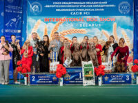 29.08.2026 Belarus, Minsk. IDS.Judge - Konrad Tijana (breed, BIG), Malo Alcrudo Rafael (Best Couple), Mukeev Esengeldy (Best Kennel), Belcevic Dusan (Best Progeny), Mladenovic Mica (BISJ). Formula Uspeha Bliss - 3 - Best Progeny