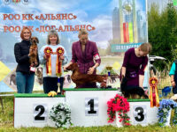 2.09.2026 Russia. Zelenograd. SDS. Judge - Orishenko. Formula Uspeha Chezet (ms) - Club JCAC, JBOB, R.Best in Show Junior