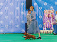 30.08.2026 Belarus, Minsk. IDS.Judge - Malo Alcrudo Rafael (breed, BIG), Konrad Tijana (Best Couple), Belcevic Dusan (Best Kennel), Pozniakova Galina (Best Progeny). Formula Uspeha Vihr' & Formula Uspeha Vselennaya - 3-Best Couple