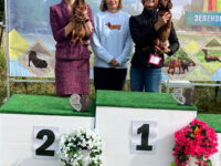 12.09.2026 Russia. Zelenograd. SDS. Judge - Orishenko. Formula Uspeha Ogon' (ms) - Club CAC, BOB, R.Best in Show & Formula Uspeha Chezet (ms) - Club JCAC, JBOB, R.Best in Show Junior