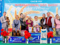 30.08.2026 Belarus, Minsk. IDS.Judge - Malo Alcrudo Rafael (breed, BIG), Konrad Tijana (Best Couple), Belcevic Dusan (Best Kennel), Pozniakova Galina (Best Progeny). Formula Uspeha Bliss - 2 - Best Progeny