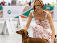21.06.2026. Russia. Moscow. NDS “Russia. RKF CUP 2026”. Judge – Ekaterina Krylova (breed, BIG). Formula Uspeha Dyson (ms) – R.CAC, CC