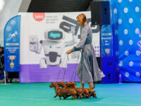 30.08.2026 Belarus, Minsk. IDS.Judge - Malo Alcrudo Rafael (breed, BIG), Konrad Tijana (Best Couple), Belcevic Dusan (Best Kennel), Pozniakova Galina (Best Progeny). Formula Uspeha - 3 Best Kennel