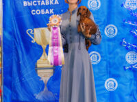 30.08.2026 Belarus, Minsk. IDS.Judge - Malo Alcrudo Rafael (breed, BIG), Konrad Tijana (Best Couple), Belcevic Dusan (Best Kennel), Pozniakova Galina (Best Progeny). Formula Uspeha Ogon' - JCAC, JCACIB, JBOB, BOB, 4 - Best in Group